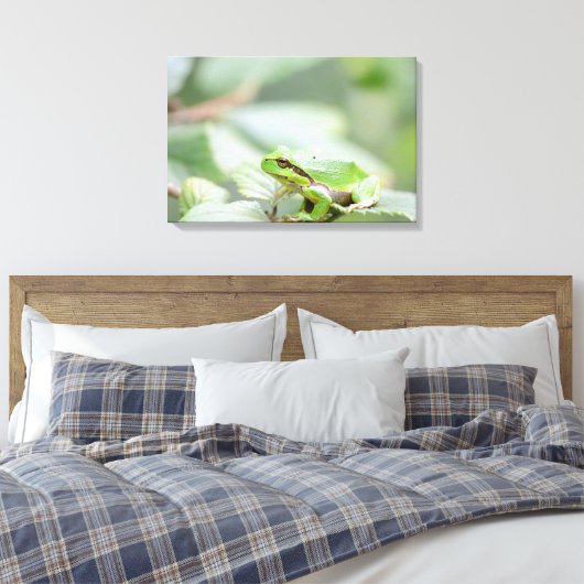 Europese boomkikker in groene canvas print (Insitu (Slaapkamer))