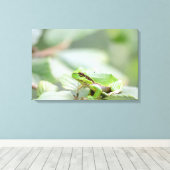 Europese boomkikker in groene canvas print (Insitu (Houten vloer))
