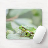 Europese boomkikker in groene mousepad muismat (Met muis)