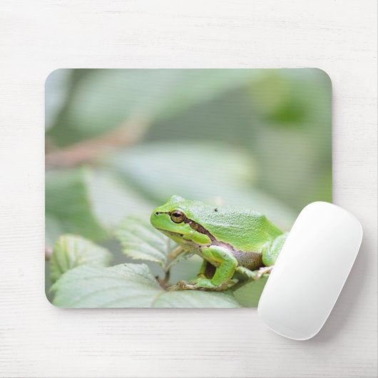 Europese boomkikker in groene mousepad muismat (Met muis)