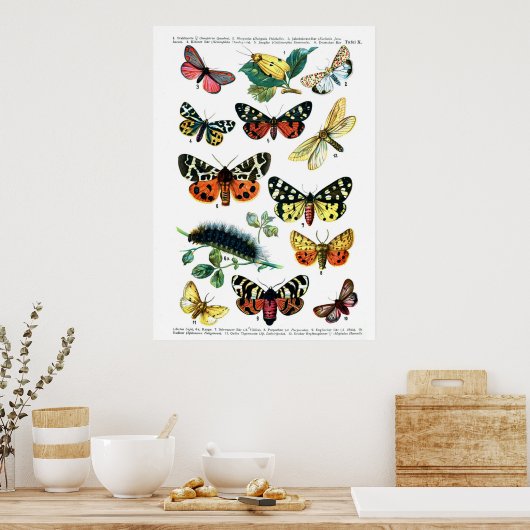 Europese botervliegen (Bord 10) Poster (Keuken)