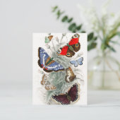  Europese botervliegen Briefkaart (Staand voorkant)