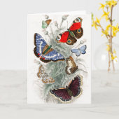  Europese botervliegen Kaart (Gele Bloem)