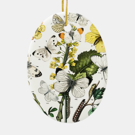 Europese botervliegen Keramisch Ornament (Achterkant)