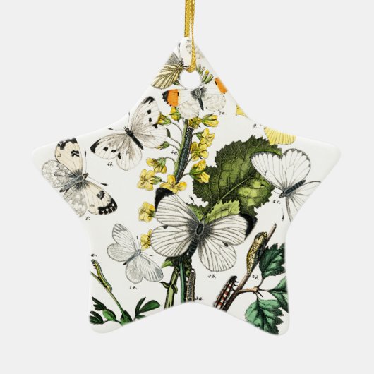  Europese botervliegen Keramisch Ornament (Achterkant)