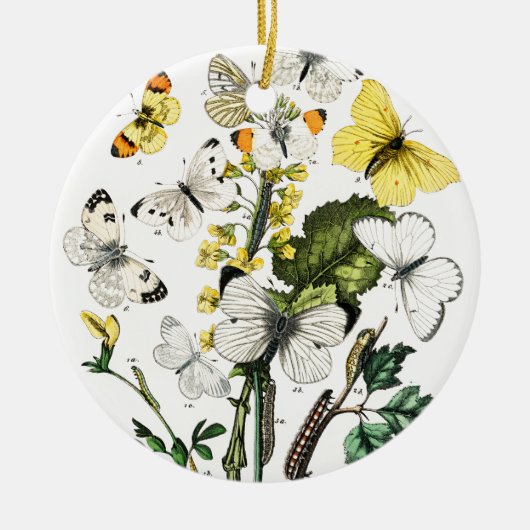  Europese botervliegen Keramisch Ornament (Voorkant)