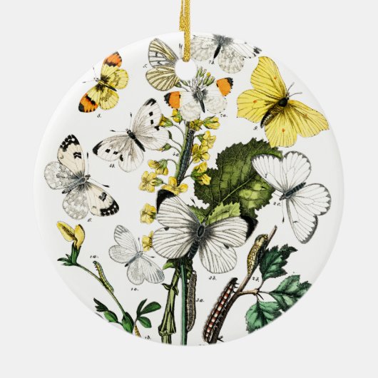  Europese botervliegen Keramisch Ornament (Achterkant)