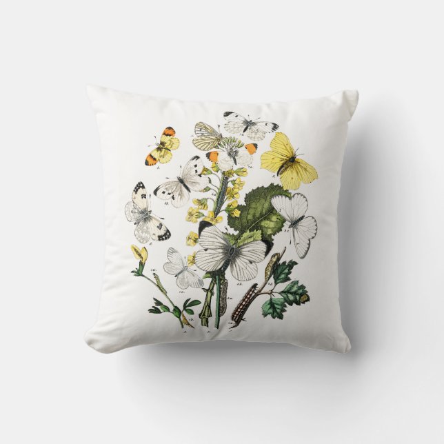  Europese botervliegen Kussen (Voorkant)