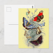  Europese Butterflies Illustratie Briefkaart (Voorkant / Achterkant)