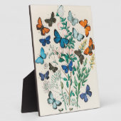 Europese Butterflies, illustratie Fotoplaat (Zijkant)