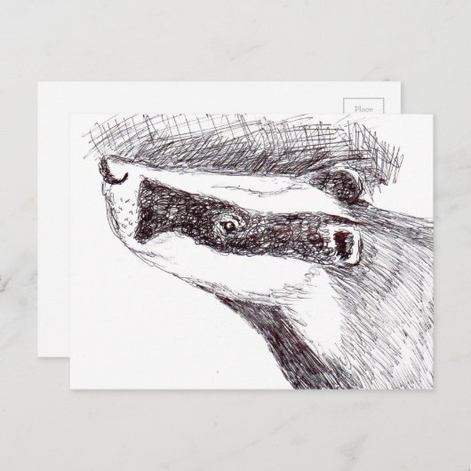 Europese Das (a455) Briefkaart (Voorkant / Achterkant)