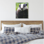 Europese Das Ingepakte Canvas Print (Insitu (Slaapkamer))