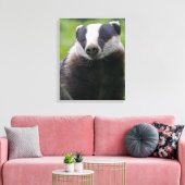 Europese Das Ingepakte Canvas Print (Insitu (Woonkamer))