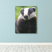 Europese Das Ingepakte Canvas Print (Insitu (Houten vloer))