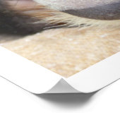 Europese das poster (Hoek)