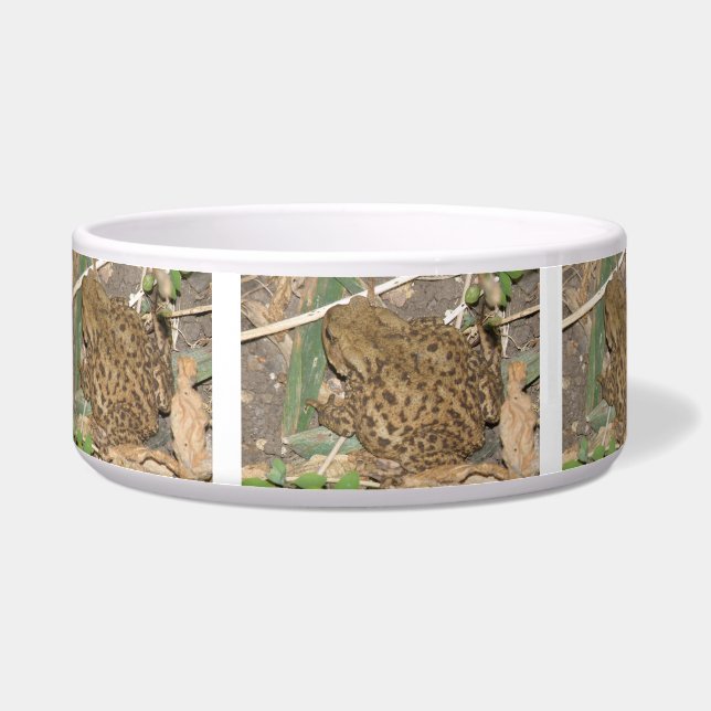 europese gemeenschappelijke paddenstoel voerbakje (Links)