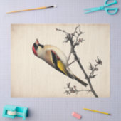 Europese goudvink Waterverf Decoupage Vogelprint Tissuepapier (Craft)