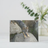 Europese grijze wolf briefkaart (Staand voorkant)