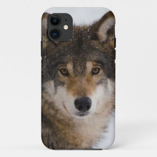 Europese grijze wolf Case-Mate iPhone case