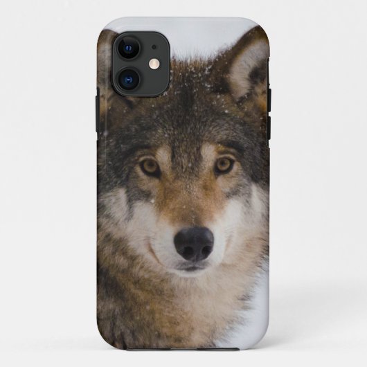 Europese grijze wolf Case-Mate iPhone case (Achterkant)