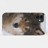 Europese grijze wolf Case-Mate iPhone case (Achterkant (horizontaal))