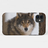 Europese grijze wolf Case-Mate iPhone case (Achterkant (horizontaal))