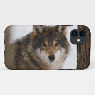 Europese grijze wolf Case-Mate iPhone case