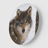 Europese grijze wolf grote klok (Hoek)