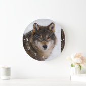 Europese grijze wolf grote klok (Huis)