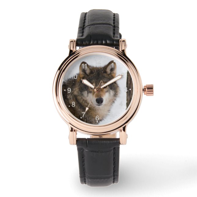 Europese grijze wolf horloge (Voorkant)