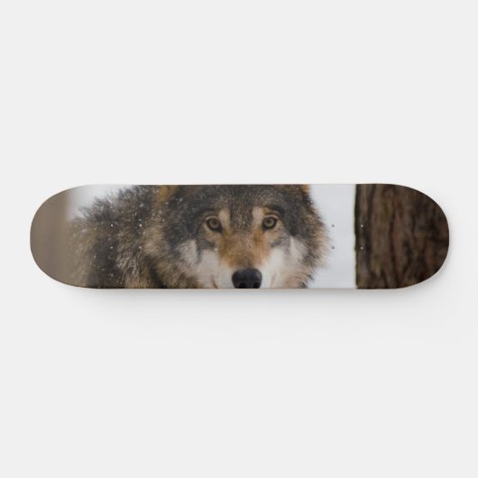 Europese grijze wolf persoonlijk skateboard (Horizontaal)
