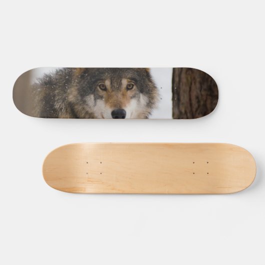 Europese grijze wolf persoonlijk skateboard (Horizontaal)
