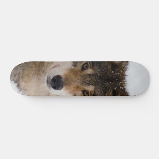 Europese grijze wolf persoonlijk skateboard (Horizontaal)