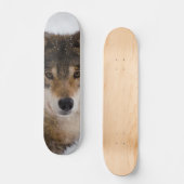 Europese grijze wolf persoonlijk skateboard (Voorkant)