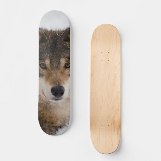 Europese grijze wolf persoonlijk skateboard (Voorkant)