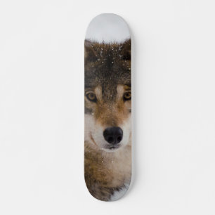 Europese grijze wolf persoonlijk skateboard