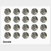 Europese grijze wolf ronde sticker (Vel)