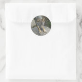 Europese grijze wolf ronde sticker (Tas)