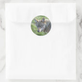 Europese grijze wolf ronde sticker (Tas)