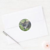 Europese grijze wolf ronde sticker (Envelop)
