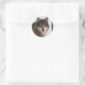 Europese grijze wolf ronde sticker (Tas)
