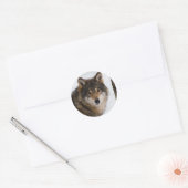 Europese grijze wolf ronde sticker (Envelop)