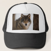 Europese grijze wolf trucker pet