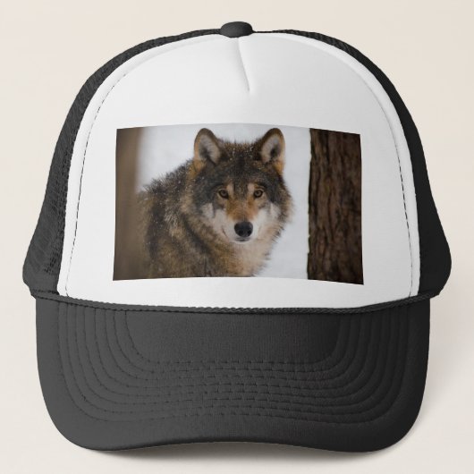 Europese grijze wolf trucker pet (Voorkant)