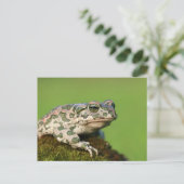 Europese Groene Pad Briefkaart (Staand voorkant)