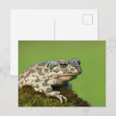Europese Groene Pad Briefkaart (Voorkant / Achterkant)