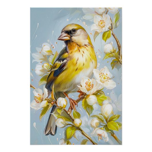 Europese groenvink in de kleuren van Natuur Perfect Poster (Voorkant)