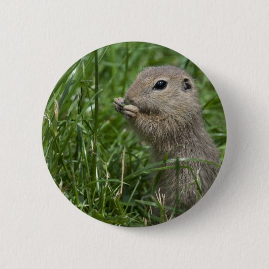 Europese grondeekhoorn ronde button 5,7 cm (Voorkant)