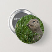 Europese grondeekhoorn ronde button 5,7 cm (Voorkant /achterkant)