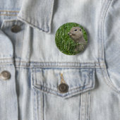 Europese grondeekhoorn ronde button 5,7 cm (In situ)